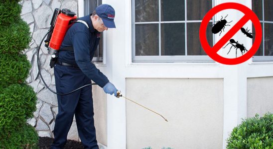 Evka 4 Pire İlaçlama böcek ilaçlama ve haşere kontrolü — ilaclama-tr.com